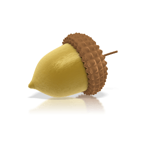 Acorn PNG image-36998